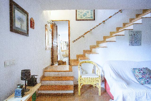 Imagen 23 Inmueble 294749 - Casa Rústica en venta en Manacor / Casa de campo rústica  parcela  en Son Talent  Manacor 