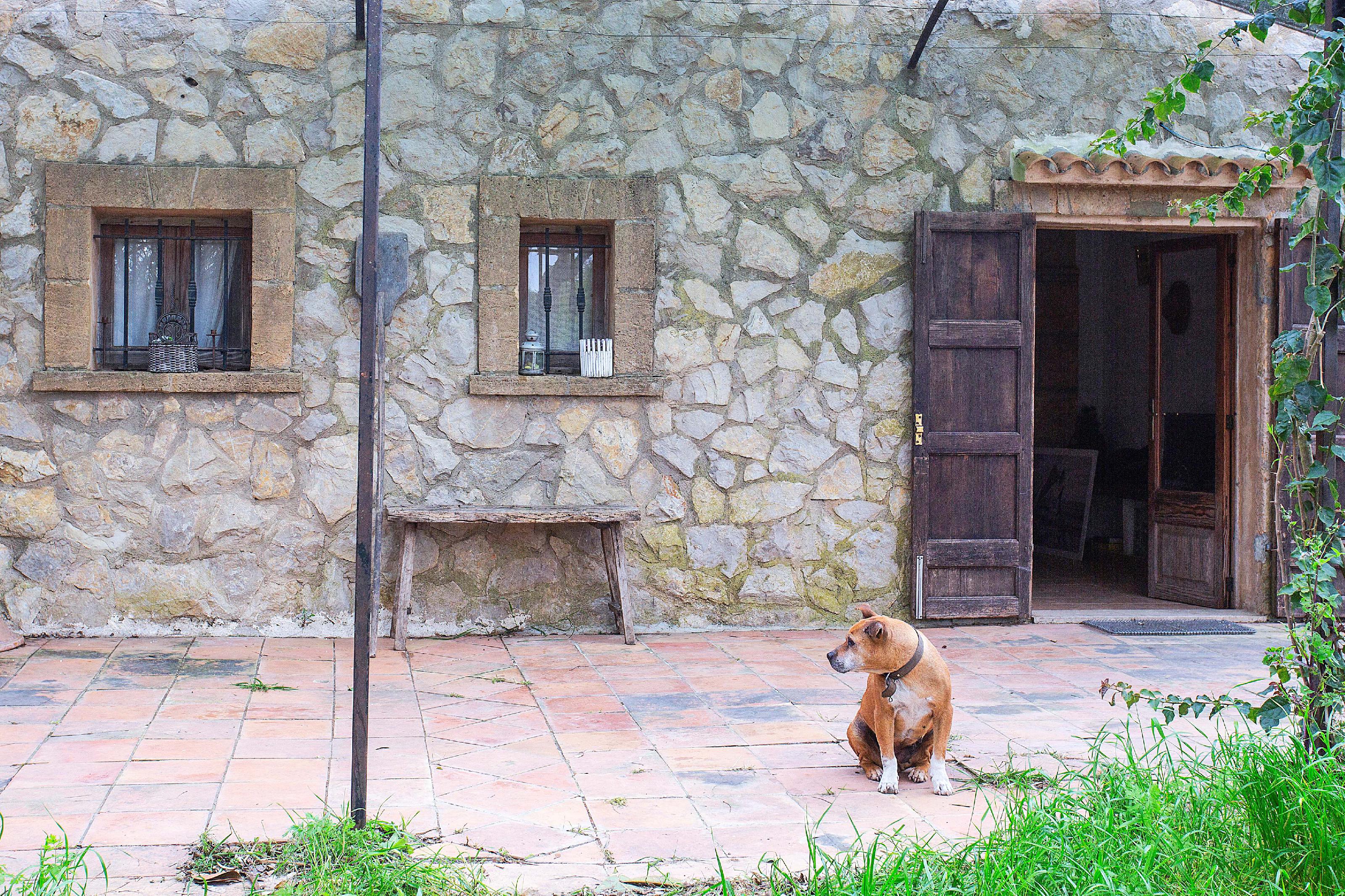 Imagen 6 Casa Rústica en venta en Manacor / Casa de campo rústica  parcela  en Son Talent  Manacor 