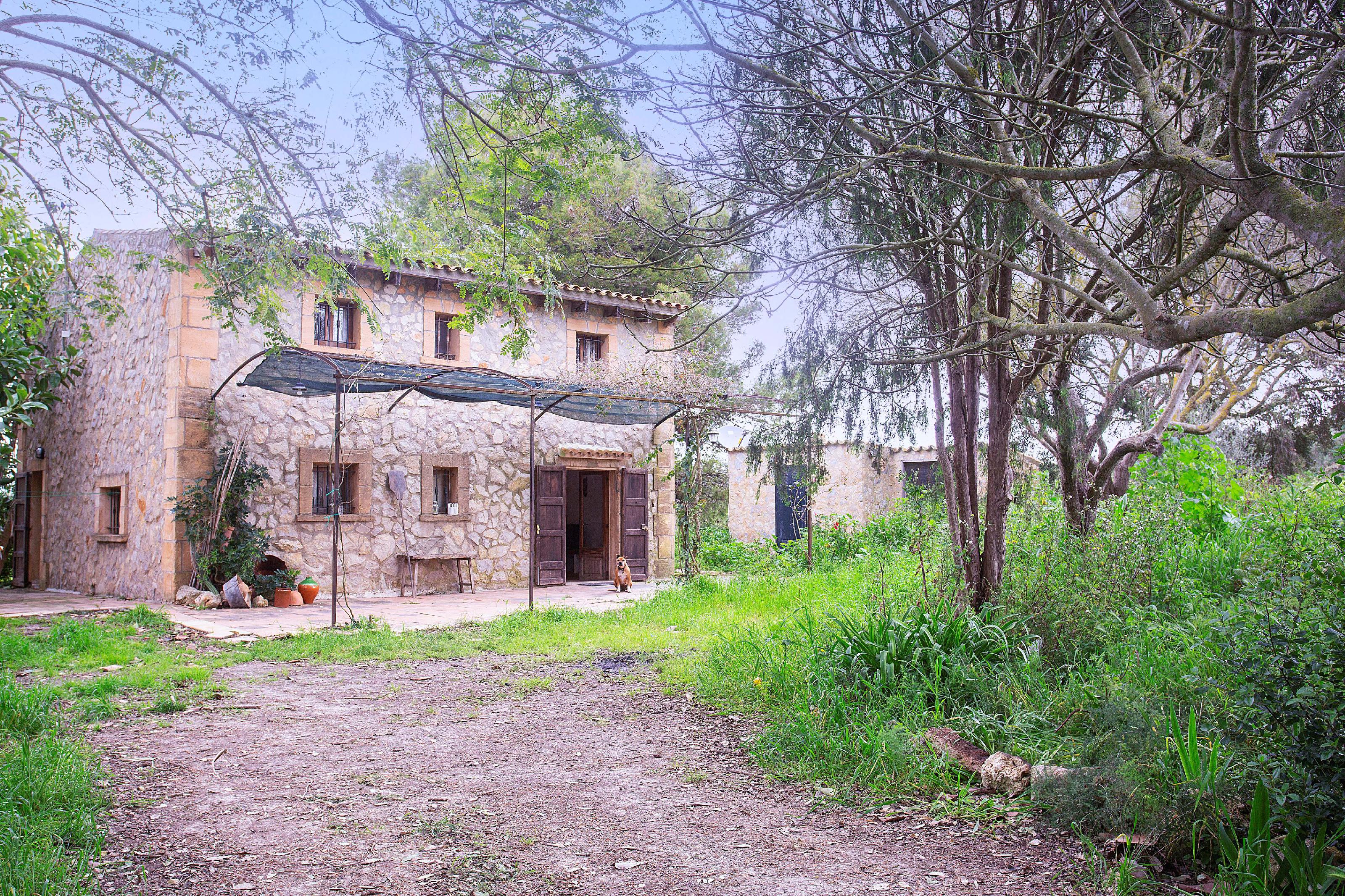 Imagen 5 Casa Rústica en venta en Manacor / Casa de campo rústica  parcela  en Son Talent  Manacor 