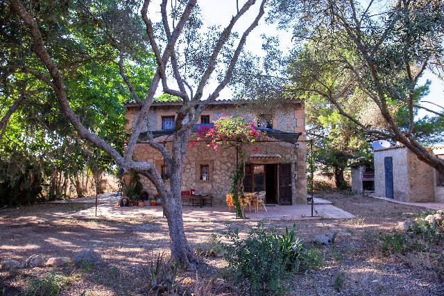 Imagen 4 Inmueble 294749 - Casa Rústica en venta en Manacor / Casa de campo rústica  parcela  en Son Talent  Manacor 