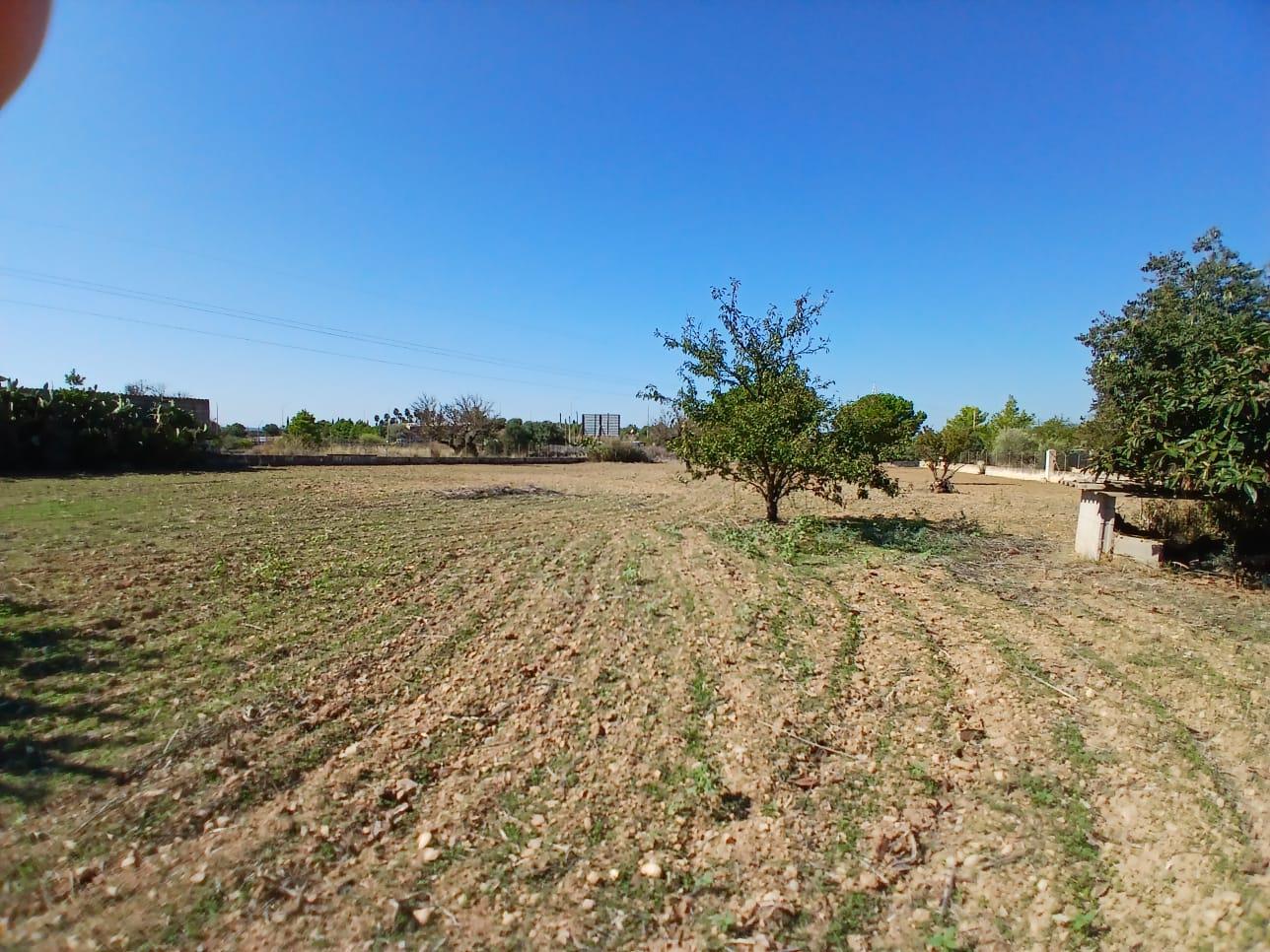 Imagen 12 Casa Rústica en venta en Inca / Casa rústica en Inca