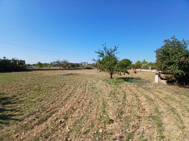 Imagen 13 Inmueble 296797 - Casa Rústica en venta en Inca / Casa rústica en Inca