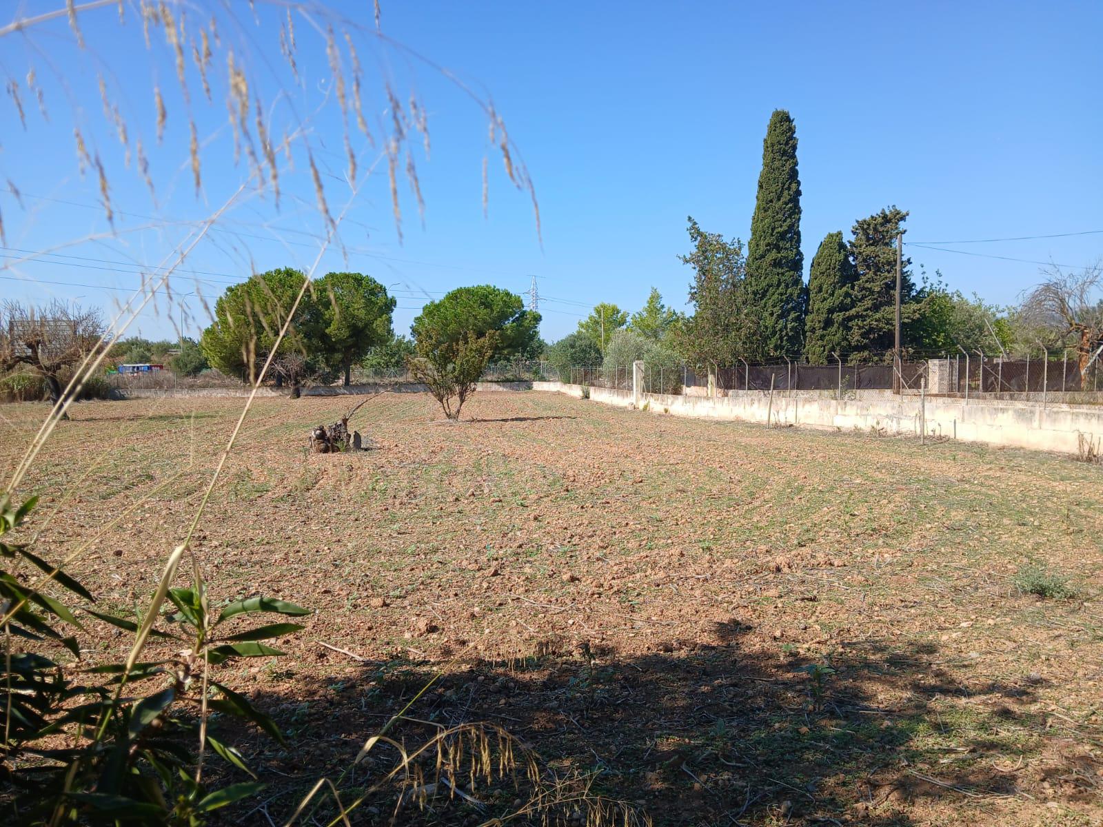 Imagen 17 Casa Rústica en venta en Inca / Casa rústica en Inca