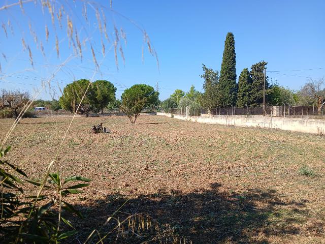 Imagen 17 Inmueble 296797 - Casa Rústica en venta en Inca / Casa rústica en Inca