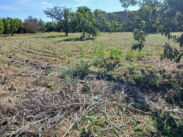Imagen 14 Inmueble 296797 - Casa Rústica en venta en Inca / Casa rústica en Inca