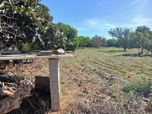 Imagen 15 Inmueble 296797 - Casa Rústica en venta en Inca / Casa rústica en Inca