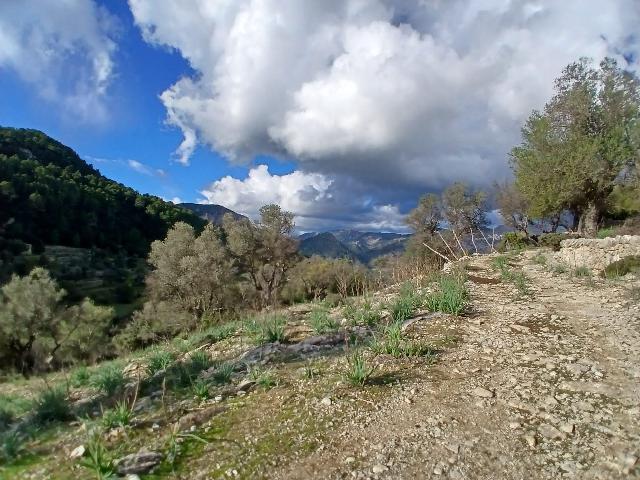 Imagen 18 Inmueble 298056 - Casa Rústica en venta en Mancor De La Vall / Casa rústica en venta en Mancor de la Vall