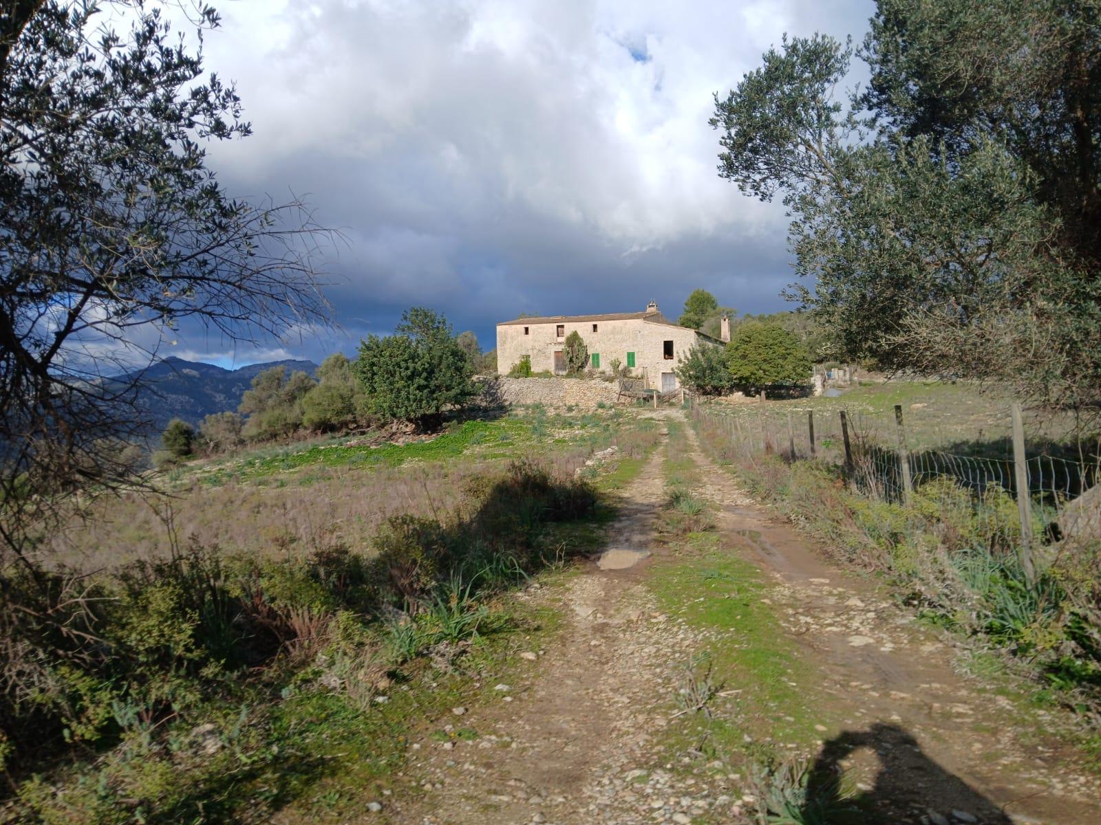 Imagen 4 Casa Rústica en venta en Mancor De La Vall / Casa rústica en venta en Mancor de la Vall