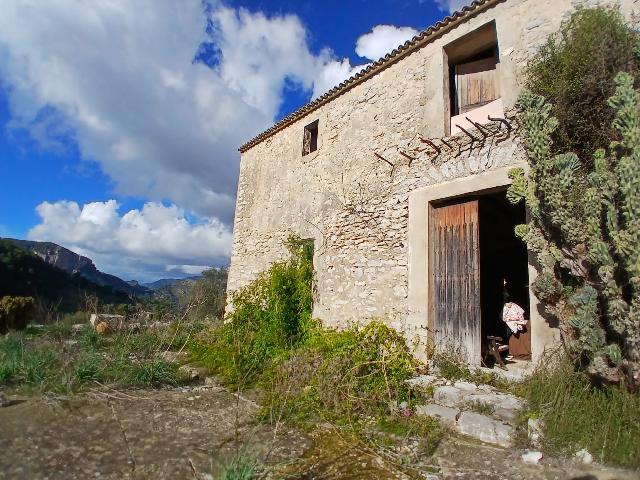 Imagen 7 Inmueble 298056 - Casa Rústica en venta en Mancor De La Vall / Casa rústica en venta en Mancor de la Vall