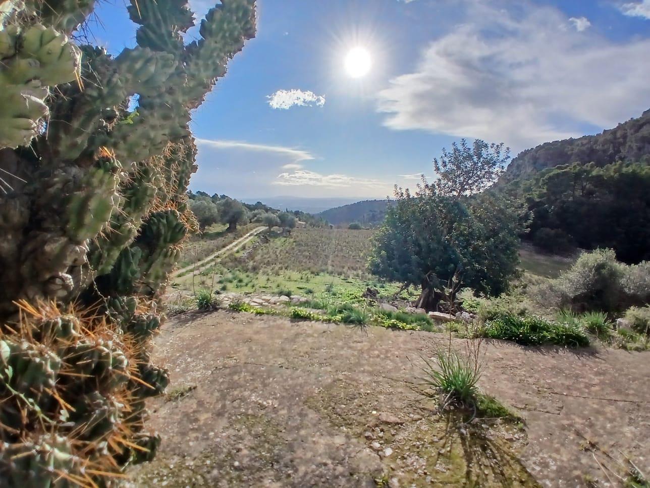 Imagen 23 Casa Rústica en venta en Mancor De La Vall / Casa rústica en venta en Mancor de la Vall