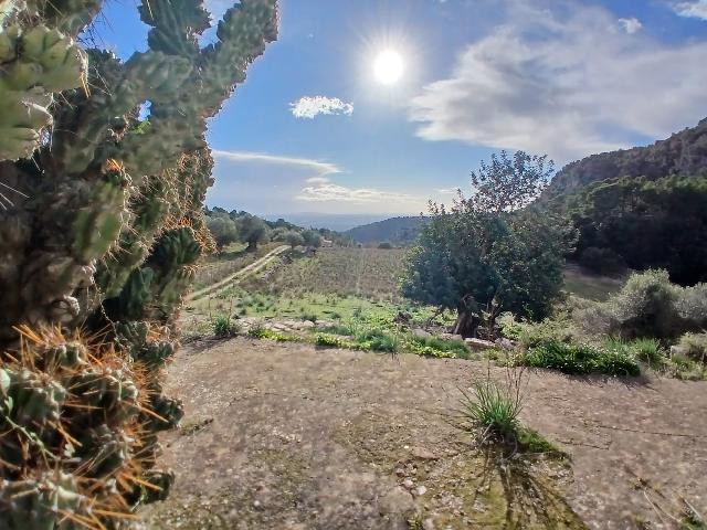 Imagen 23 Inmueble 298056 - Casa Rústica en venta en Mancor De La Vall / Casa rústica en venta en Mancor de la Vall