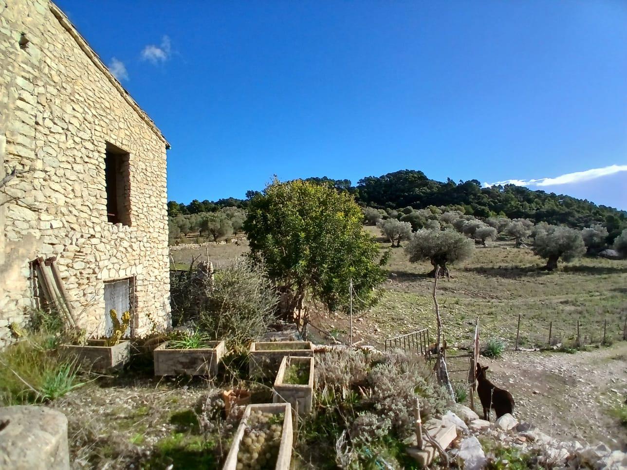 Imagen 25 Casa Rústica en venta en Mancor De La Vall / Casa rústica en venta en Mancor de la Vall