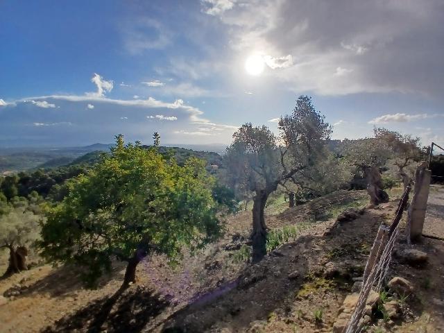 Imagen 26 Inmueble 298056 - Casa Rústica en venta en Mancor De La Vall / Casa rústica en venta en Mancor de la Vall