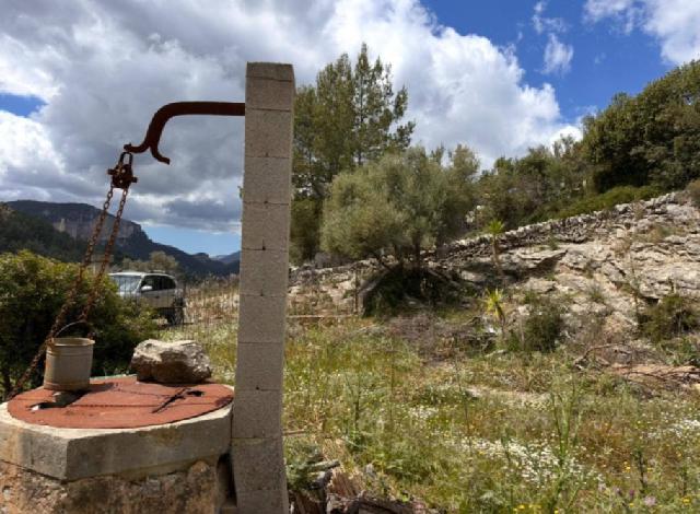 Imagen 13 Inmueble 298056 - Casa Rústica en venta en Mancor De La Vall / Casa rústica en venta en Mancor de la Vall