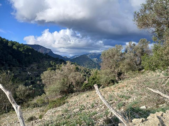 Imagen 16 Inmueble 298056 - Casa Rústica en venta en Mancor De La Vall / Casa rústica en venta en Mancor de la Vall