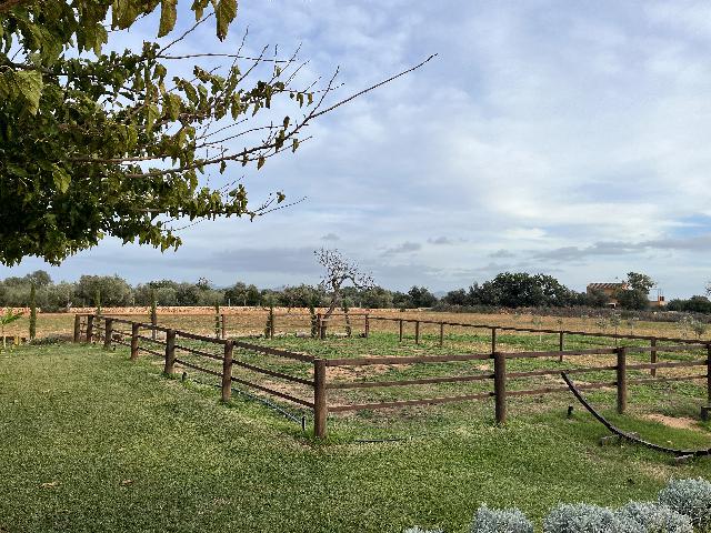 Imagen 23 Inmueble 298815 - Casa en venta en Campos / Casa en venta en Porto Petro, Campos