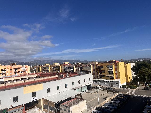 Imagen 33 Inmueble 298832 - Piso en venta en Palma / Piso 3hab., cocina y baño recién reformados. Ascensor. 