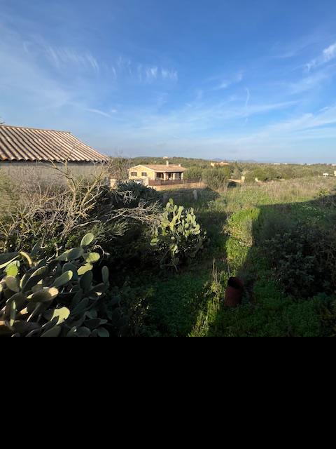 Imagen 21 Inmueble 299193 - Casa Rústica en venta en Manacor / Casa de campo a 2kmtros de Porto Cristo