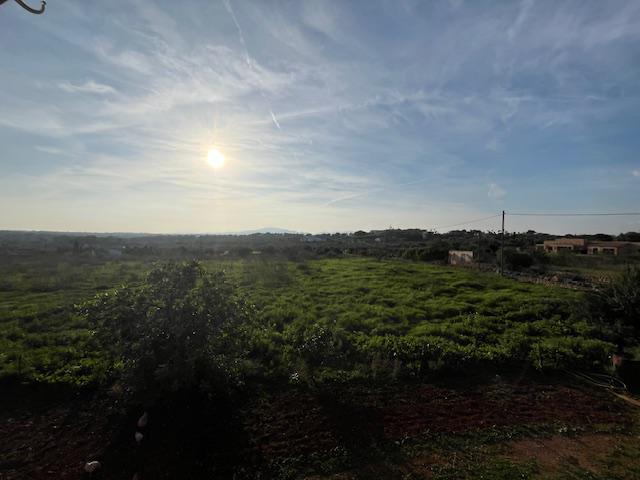 Imagen 9 Casa Rústica en venta en Manacor / Casa de campo a 2kmtros de Porto Cristo