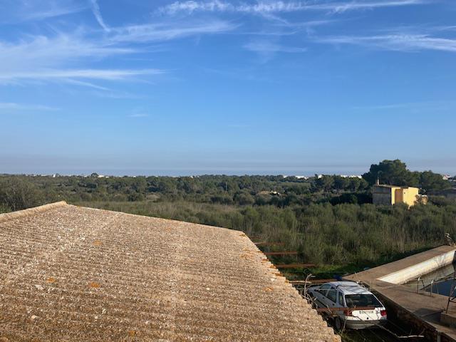 Imagen 7 Casa Rústica en venta en Manacor / Casa de campo a 2kmtros de Porto Cristo