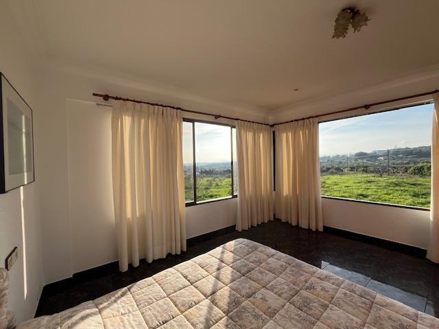 Imagen 14 Inmueble 299193 - Casa Rústica en venta en Manacor / Casa de campo a 2kmtros de Porto Cristo