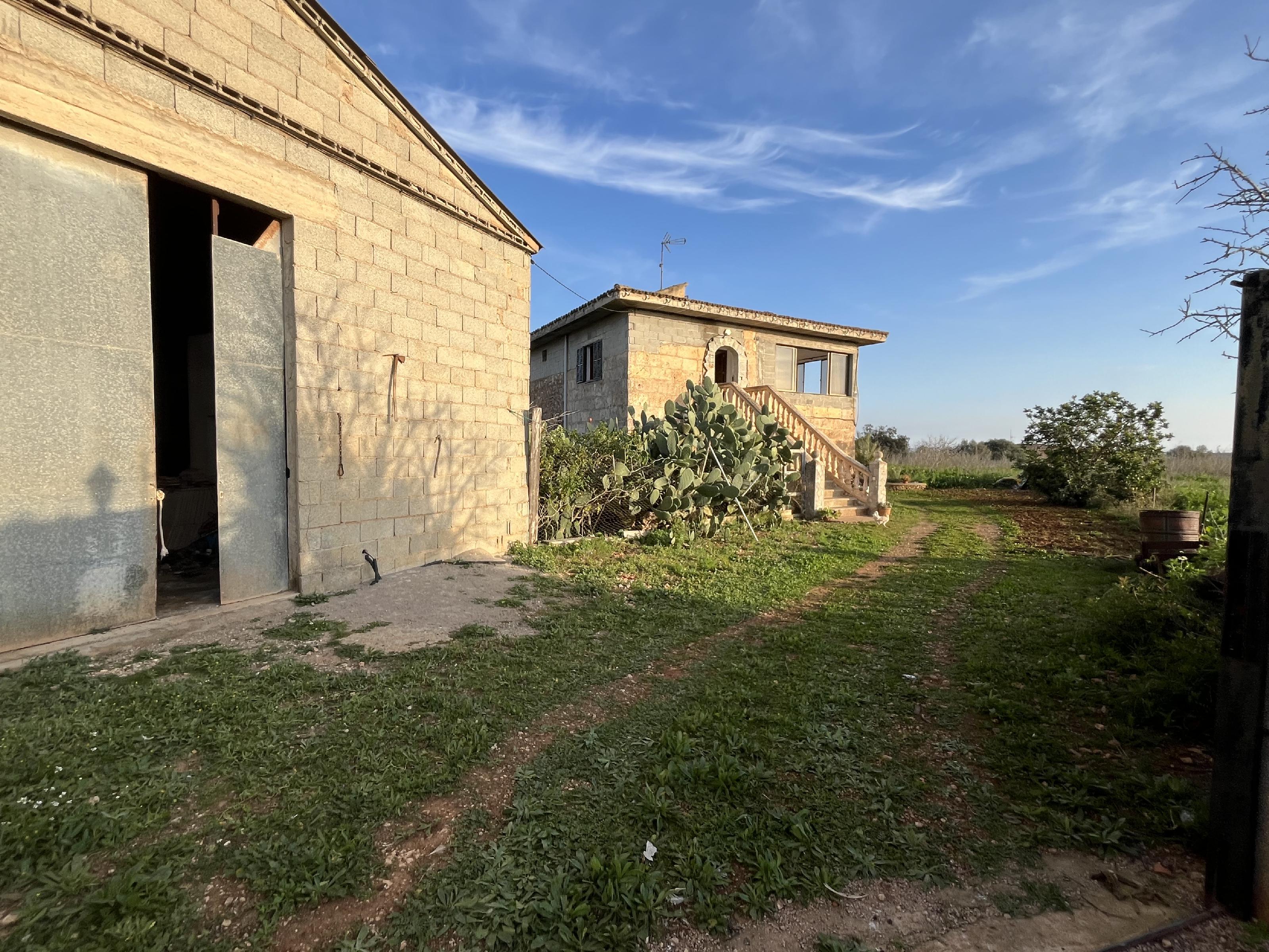 Imagen 5 Casa Rústica en venta en Manacor / Casa de campo a 2kmtros de Porto Cristo