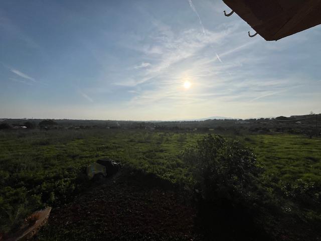 Imagen 31 Casa Rústica en venta en Manacor / Casa de campo a 2kmtros de Porto Cristo