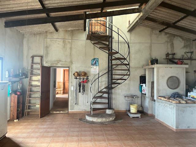 Imagen 12 Inmueble 299193 - Casa Rústica en venta en Manacor / Casa de campo a 2kmtros de Porto Cristo