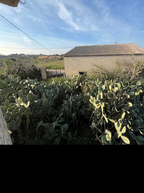 Imagen 27 Inmueble 299193 - Casa Rústica en venta en Manacor / Casa de campo a 2kmtros de Porto Cristo