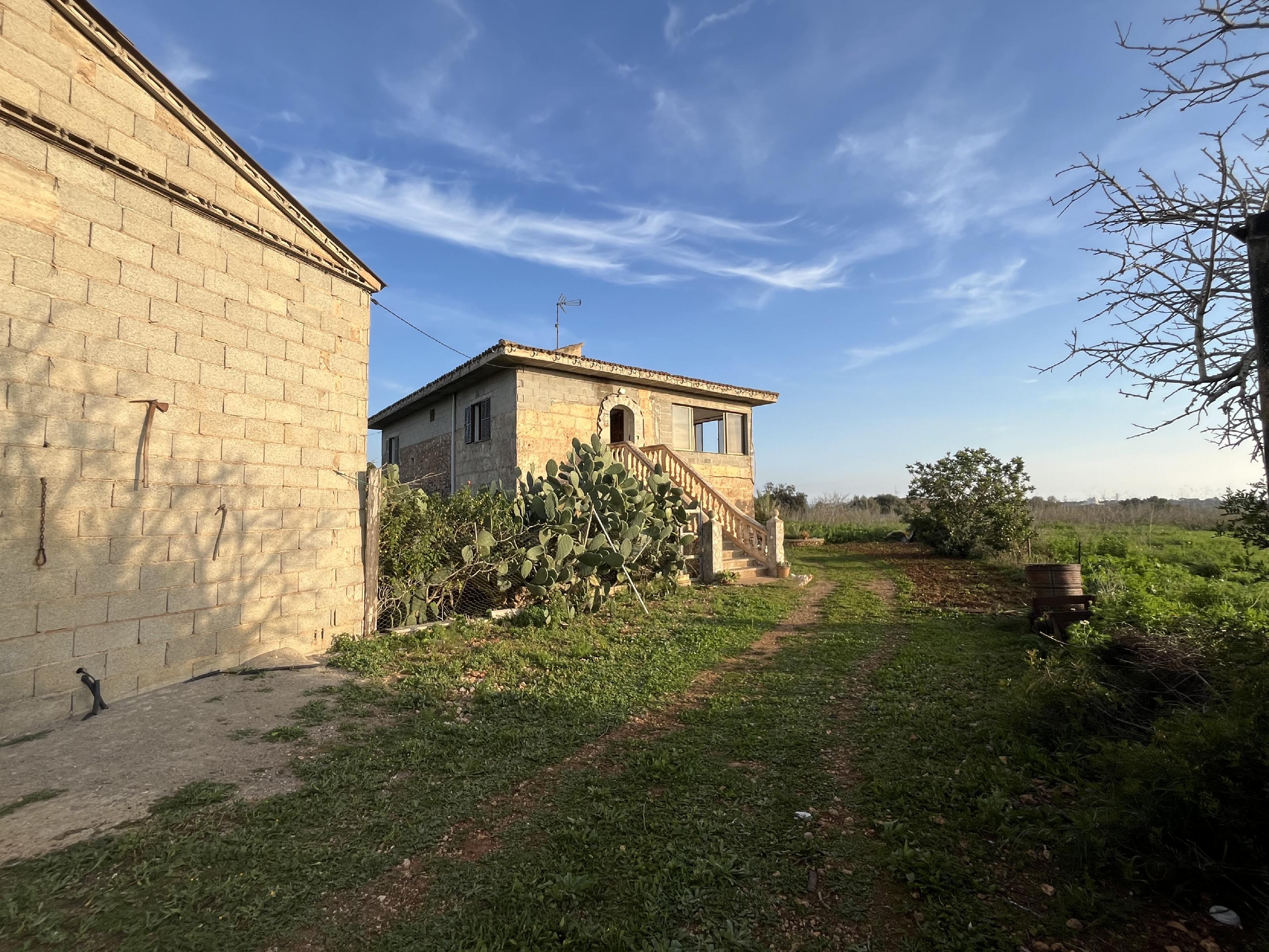 Imagen 29 Casa Rústica en venta en Manacor / Casa de campo a 2kmtros de Porto Cristo