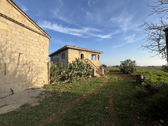 Imagen 29 Inmueble 299193 - Casa Rústica en venta en Manacor / Casa de campo a 2kmtros de Porto Cristo