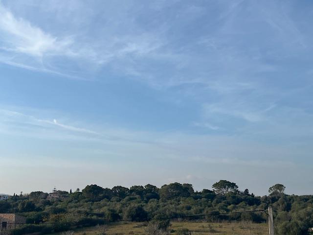 Imagen 34 Inmueble 299193 - Casa Rústica en venta en Manacor / Casa de campo a 2kmtros de Porto Cristo