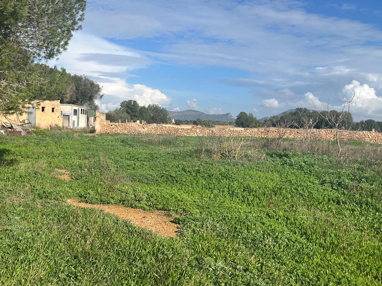 Imagen 21 Casa Rústica en venta en Llucmajor / Finca con antigua cuadra ecuestre +vivienda residencial 