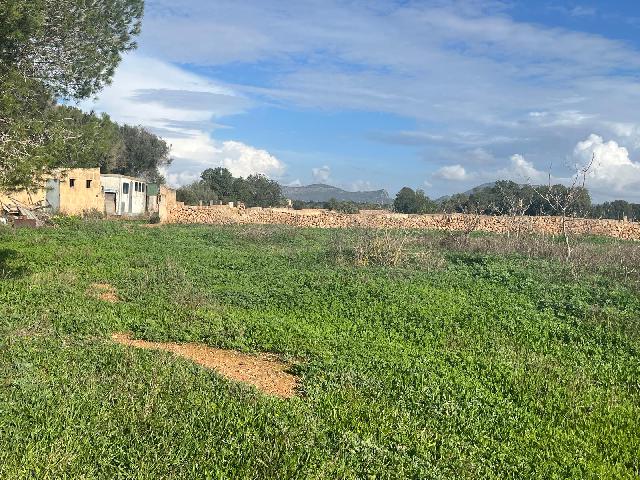 Imagen 21 Inmueble 299398 - Casa Rústica en venta en Llucmajor / Finca con antigua cuadra ecuestre +vivienda residencial 