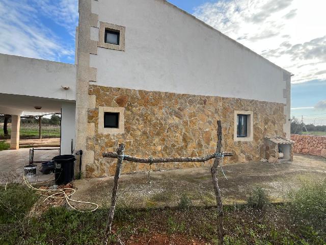 Imagen 13 Inmueble 299398 - Casa Rústica en venta en Llucmajor / Finca con antigua cuadra ecuestre +vivienda residencial 