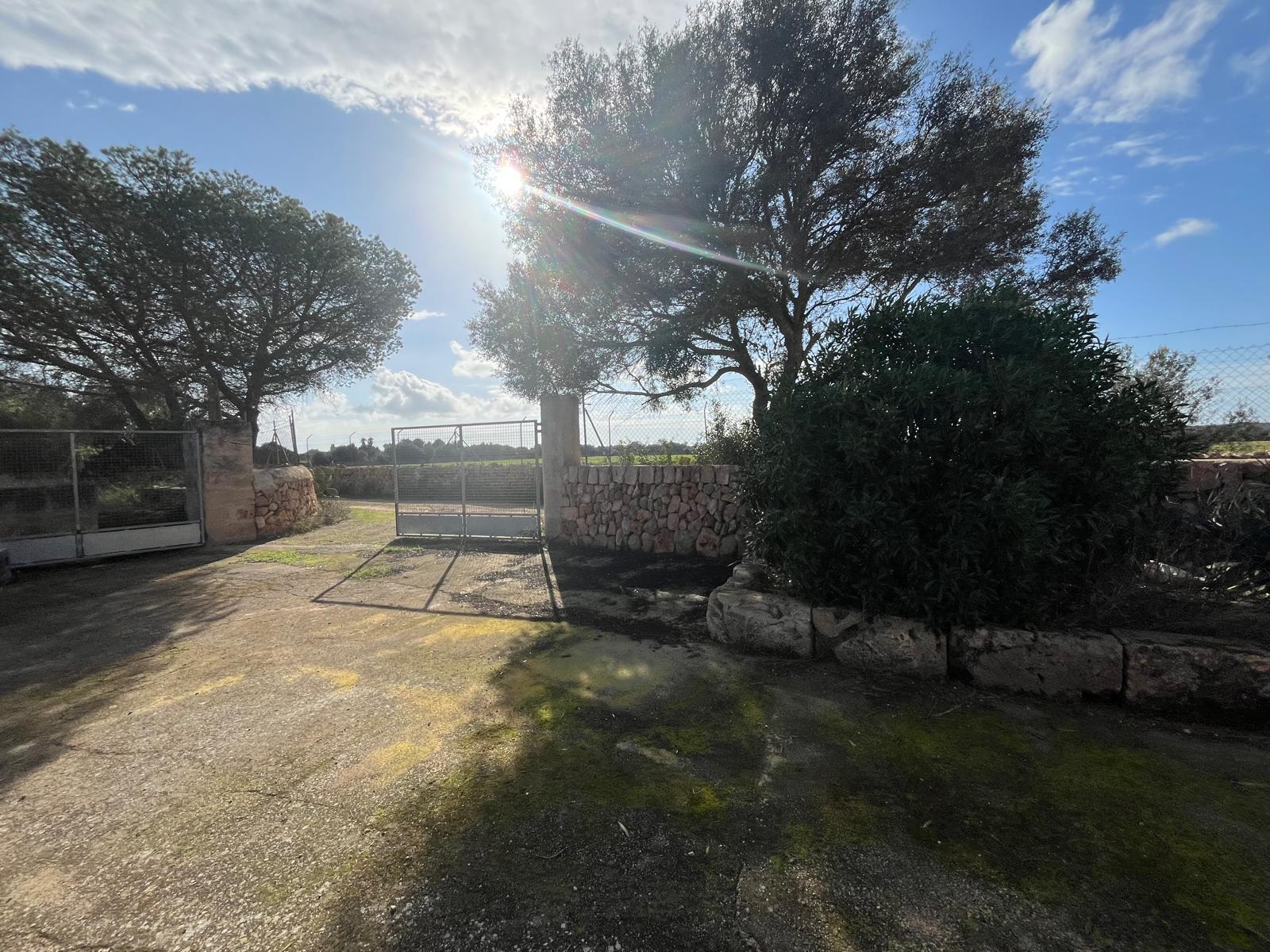 Imagen 17 Casa Rústica en venta en Llucmajor / Finca con antigua cuadra ecuestre +vivienda residencial 