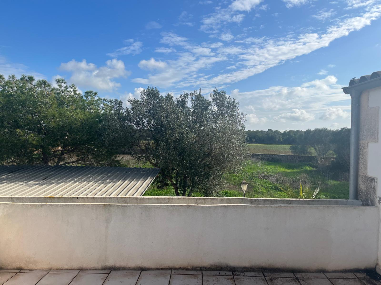 Imagen 19 Casa Rústica en venta en Llucmajor / Finca con antigua cuadra ecuestre +vivienda residencial 