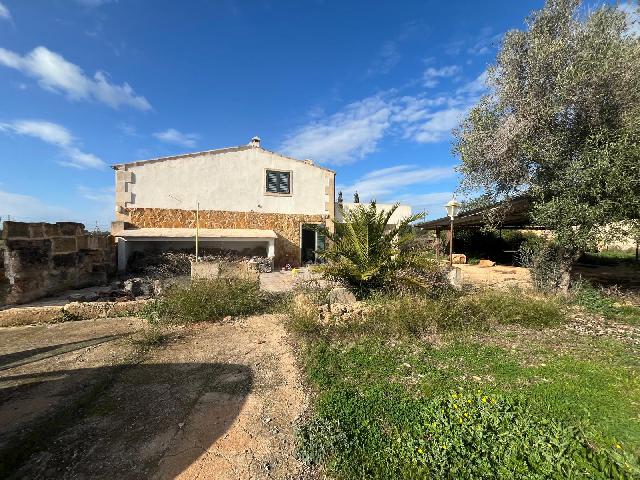 Imagen 10 Inmueble 299398 - Casa Rústica en venta en Llucmajor / Finca con antigua cuadra ecuestre +vivienda residencial 