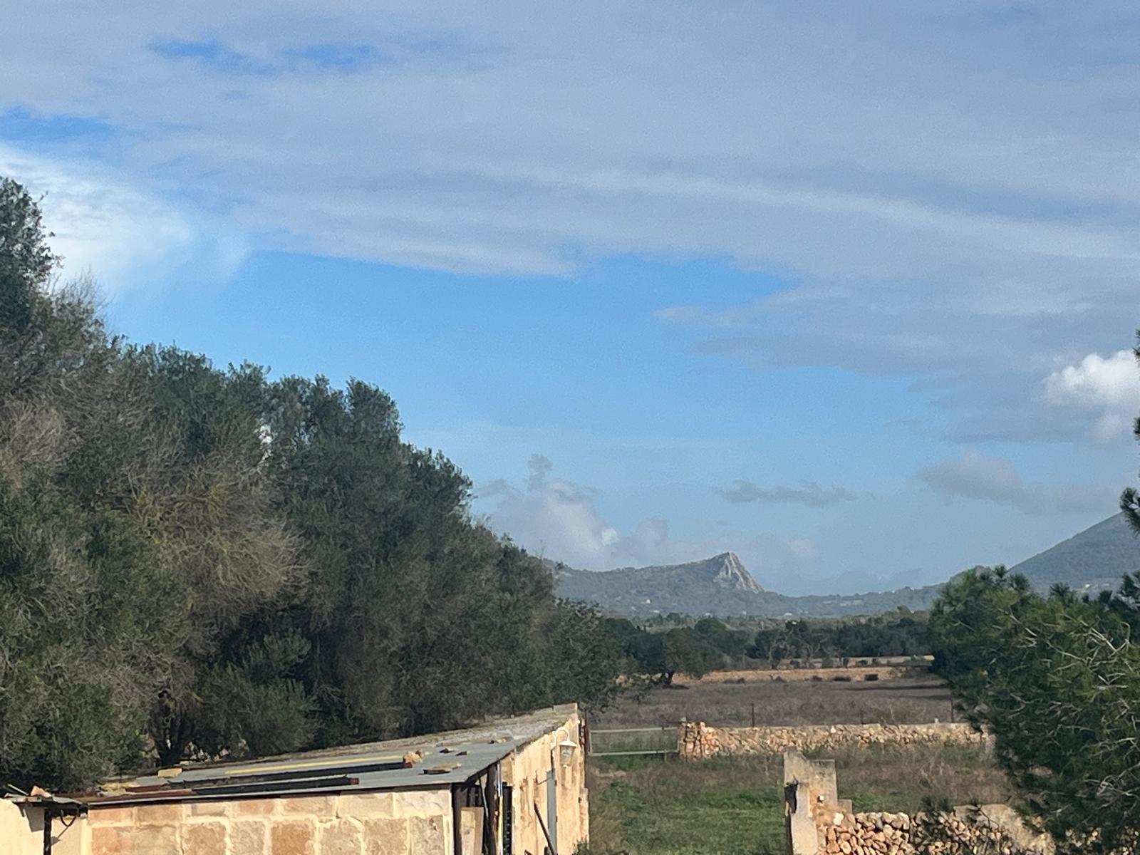 Imagen 22 Casa Rústica en venta en Llucmajor / Finca con antigua cuadra ecuestre +vivienda residencial 