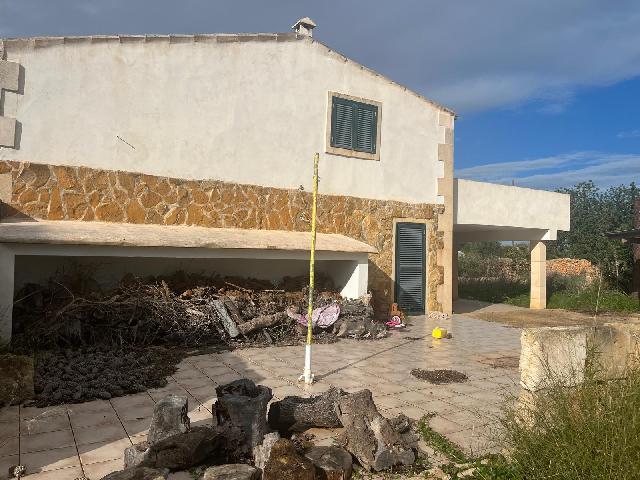 Imagen 16 Inmueble 299398 - Casa Rústica en venta en Llucmajor / Finca con antigua cuadra ecuestre +vivienda residencial 