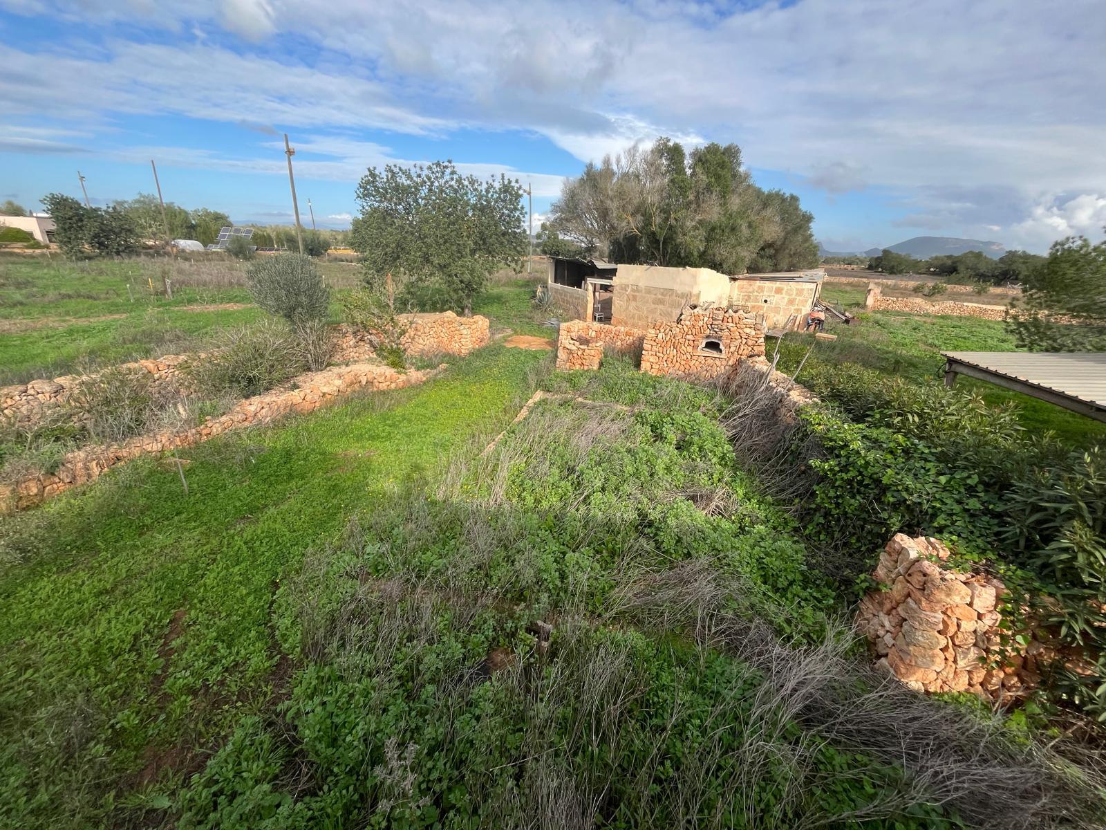 Imagen 24 Casa Rústica en venta en Llucmajor / Finca con antigua cuadra ecuestre +vivienda residencial 