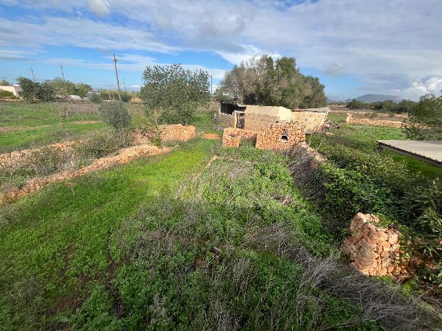 Imagen 24 Inmueble 299398 - Casa Rústica en venta en Llucmajor / Finca con antigua cuadra ecuestre +vivienda residencial 