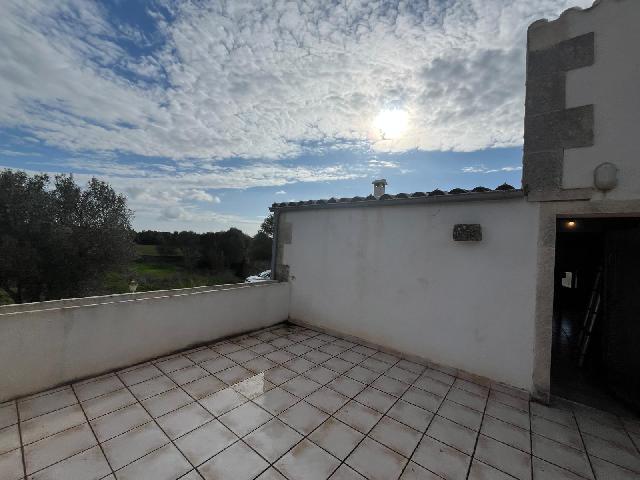 Imagen 25 Inmueble 299398 - Casa Rústica en venta en Llucmajor / Finca con antigua cuadra ecuestre +vivienda residencial 