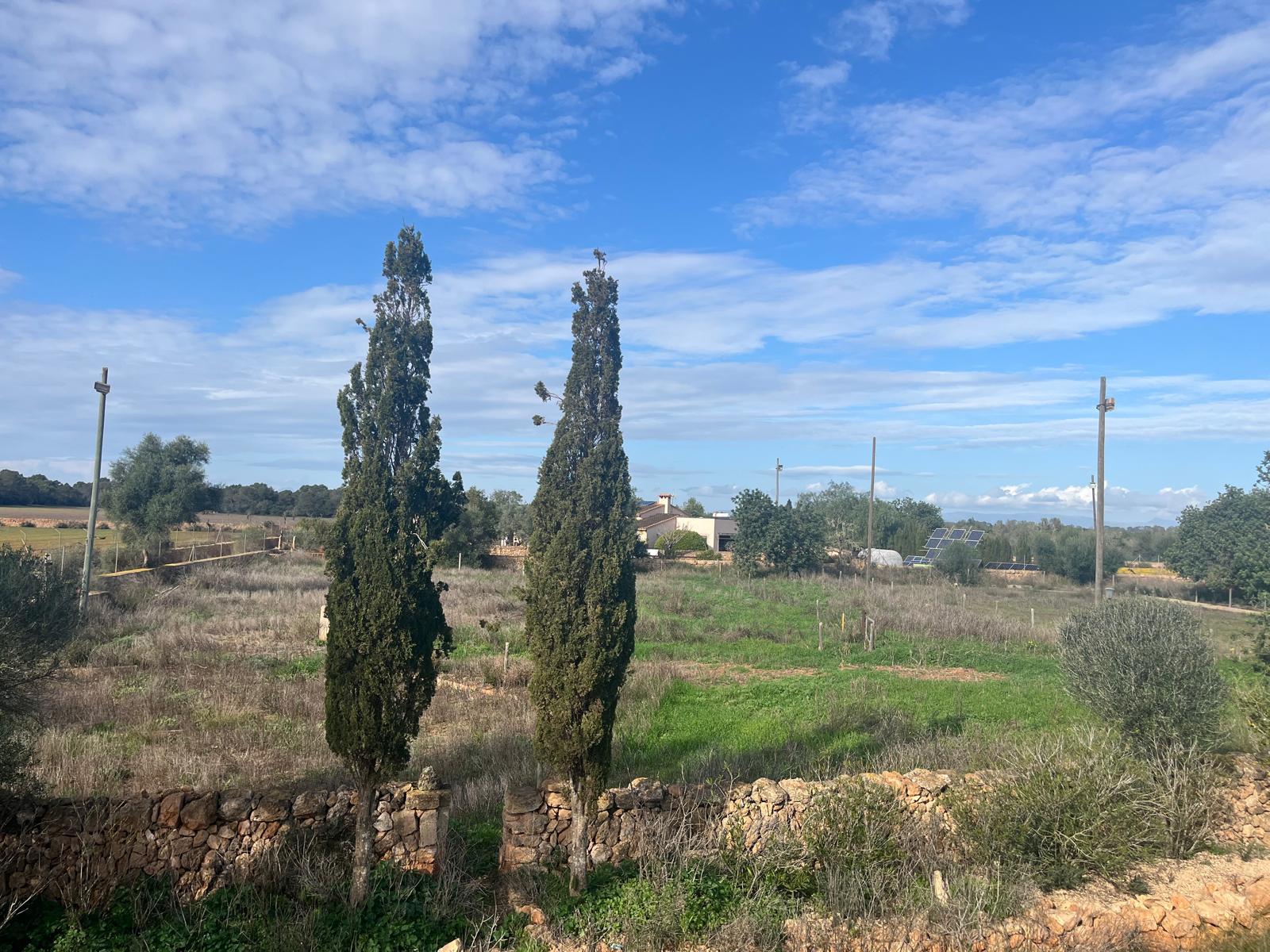 Imagen 27 Casa Rústica en venta en Llucmajor / Finca con antigua cuadra ecuestre +vivienda residencial 