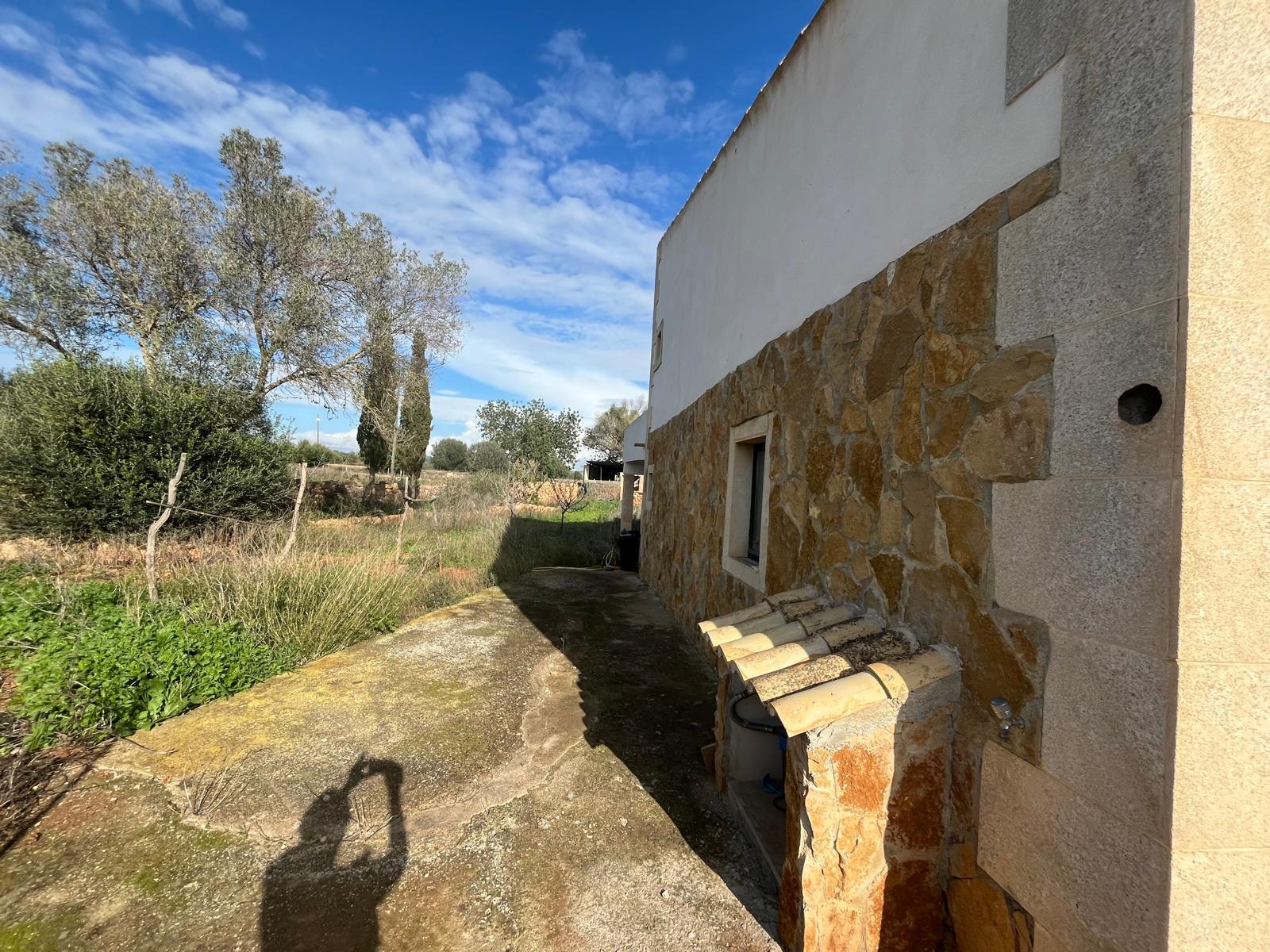 Imagen 28 Casa Rústica en venta en Llucmajor / Finca con antigua cuadra ecuestre +vivienda residencial 