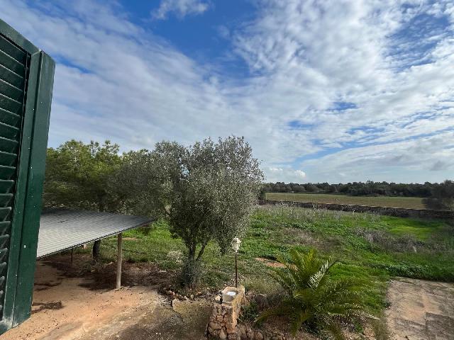 Imagen 33 Inmueble 299398 - Casa Rústica en venta en Llucmajor / Finca con antigua cuadra ecuestre +vivienda residencial 