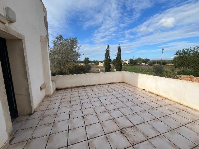 Imagen 26 Inmueble 299398 - Casa Rústica en venta en Llucmajor / Finca con antigua cuadra ecuestre +vivienda residencial 