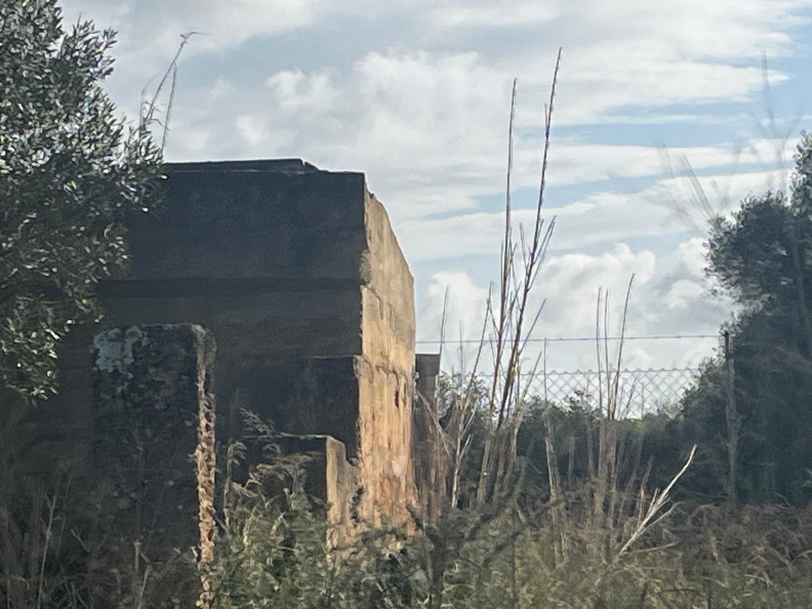 Imagen 34 Casa Rústica en venta en Llucmajor / Finca con antigua cuadra ecuestre +vivienda residencial 