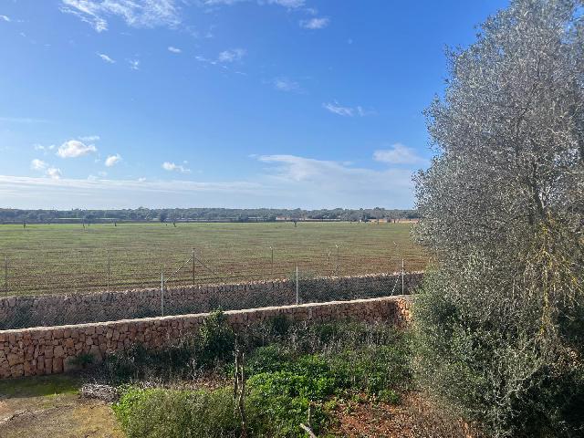 Imagen 35 Inmueble 299398 - Casa Rústica en venta en Llucmajor / Finca con antigua cuadra ecuestre +vivienda residencial 