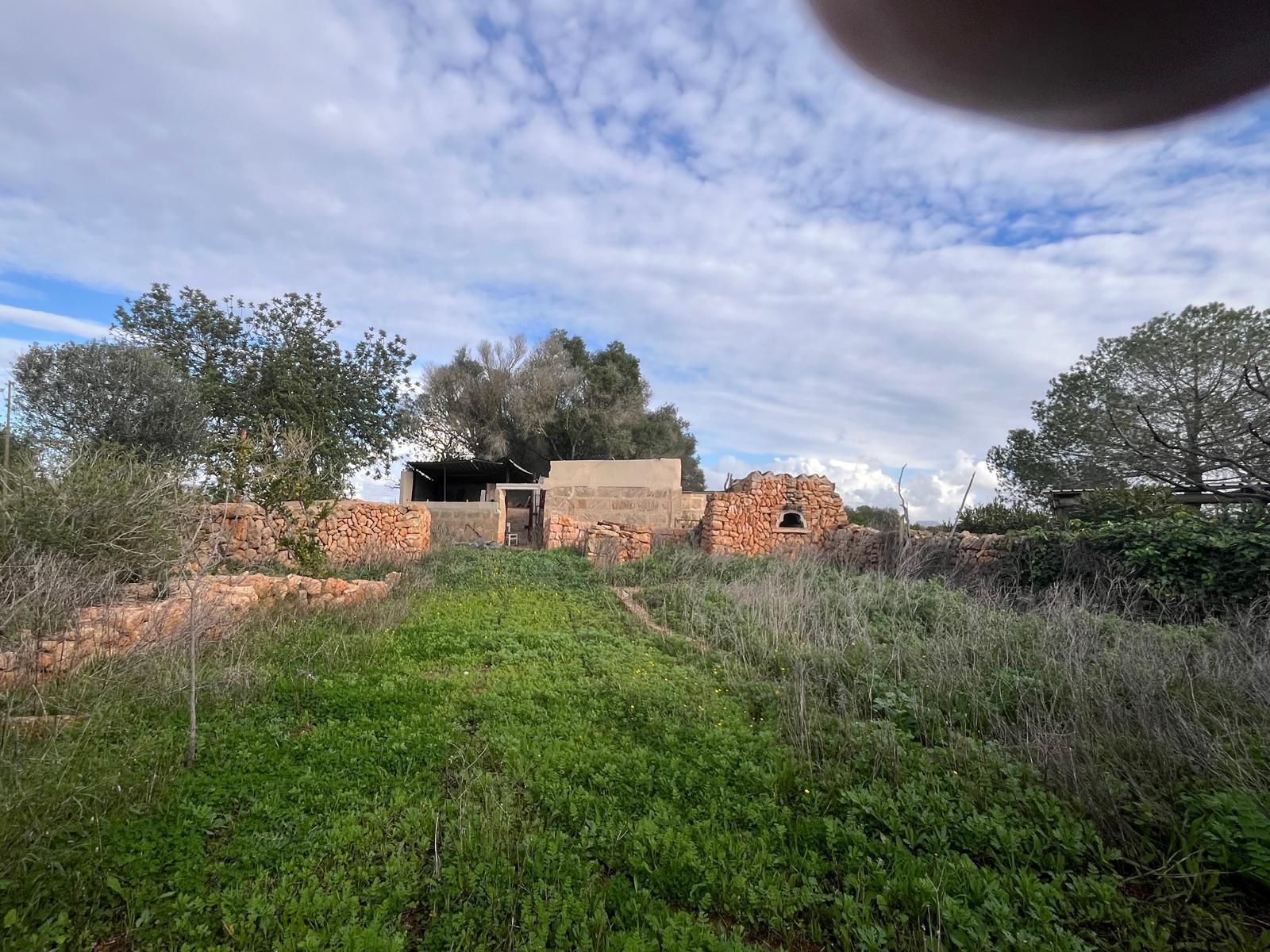 Imagen 36 Casa Rústica en venta en Llucmajor / Finca con antigua cuadra ecuestre +vivienda residencial 